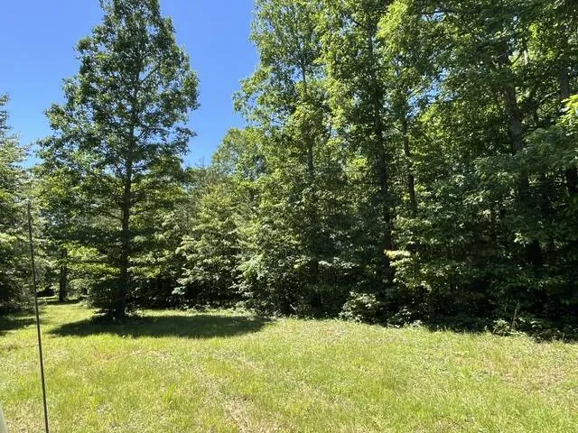 362 Cullen Savage Road Palmer, TN 37365