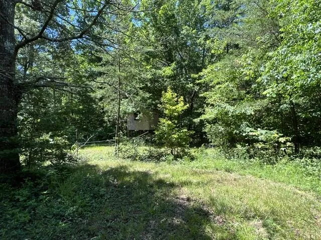 362 Cullen Savage Road Palmer, TN 37365