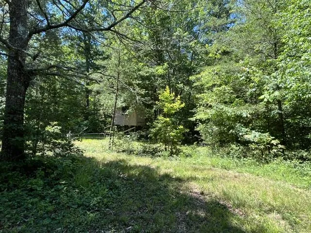 362 Cullen Savage Road Palmer, TN 37365