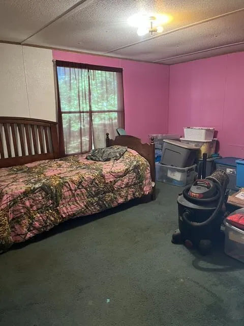 362 Cullen Savage Road Palmer, TN 37365