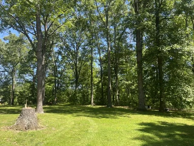 362 Cullen Savage Road Palmer, TN 37365