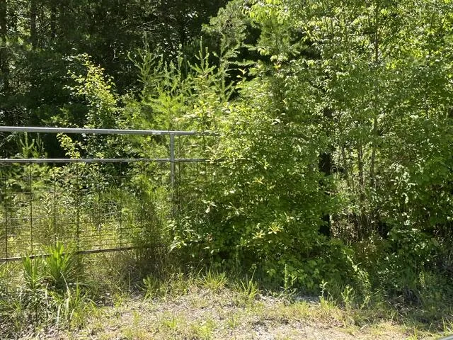 362 Cullen Savage Road Palmer, TN 37365