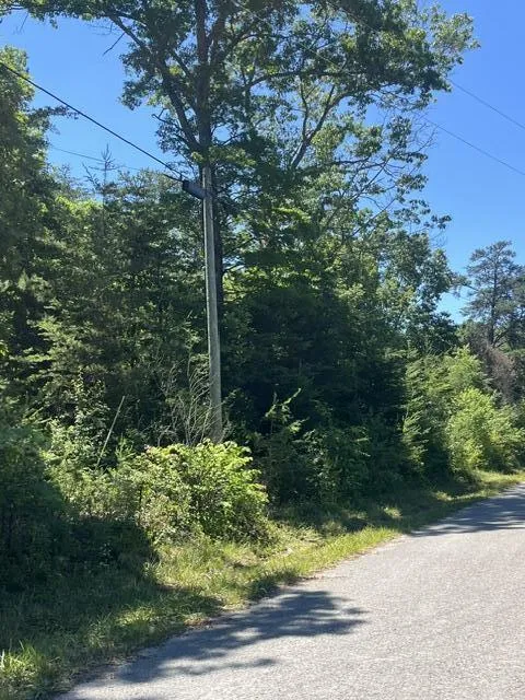 362 Cullen Savage Road Palmer, TN 37365