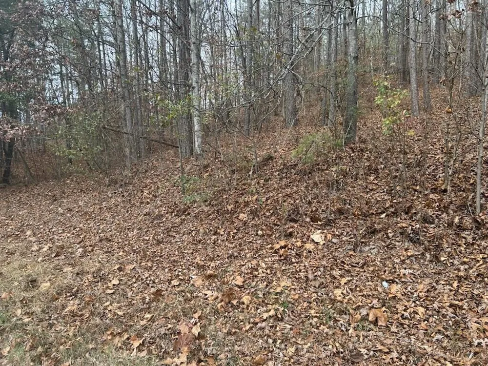 Old Chattanooga Road Tunnel Hill, GA 30755