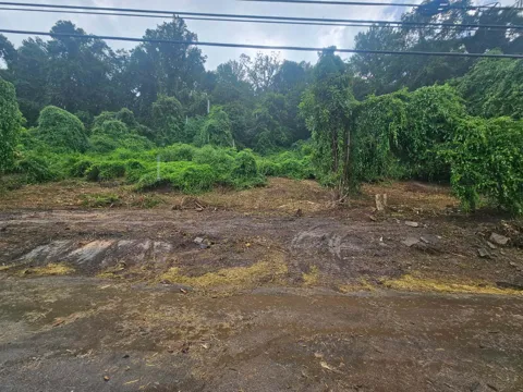 Old Jasper Road