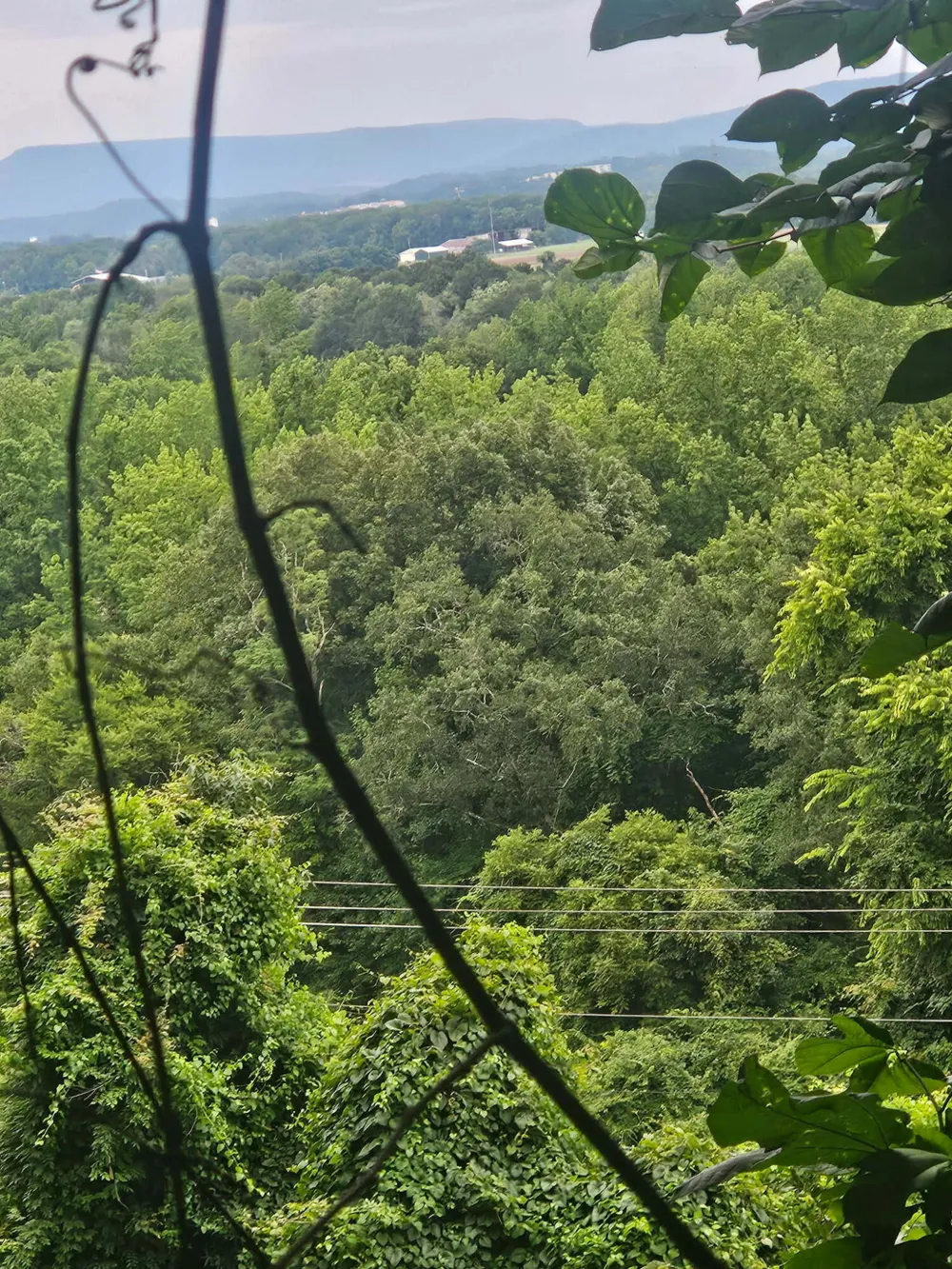 Old Jasper Road South Pittsburg, TN 37380