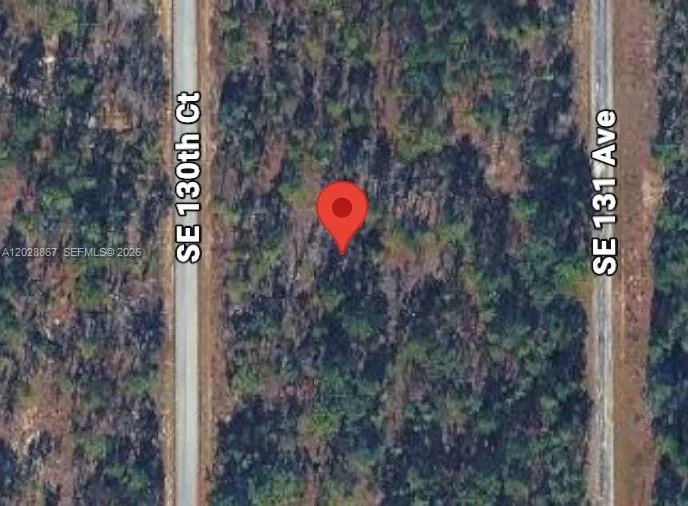 49 SE 130th Ct Other City - In The State Of Florida, FL 34431