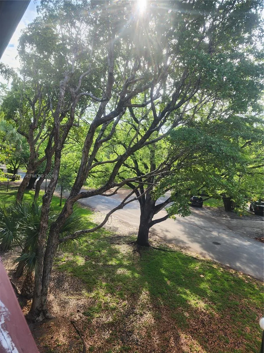1205 Mariposa Ave #304 Coral Gables, FL 33146