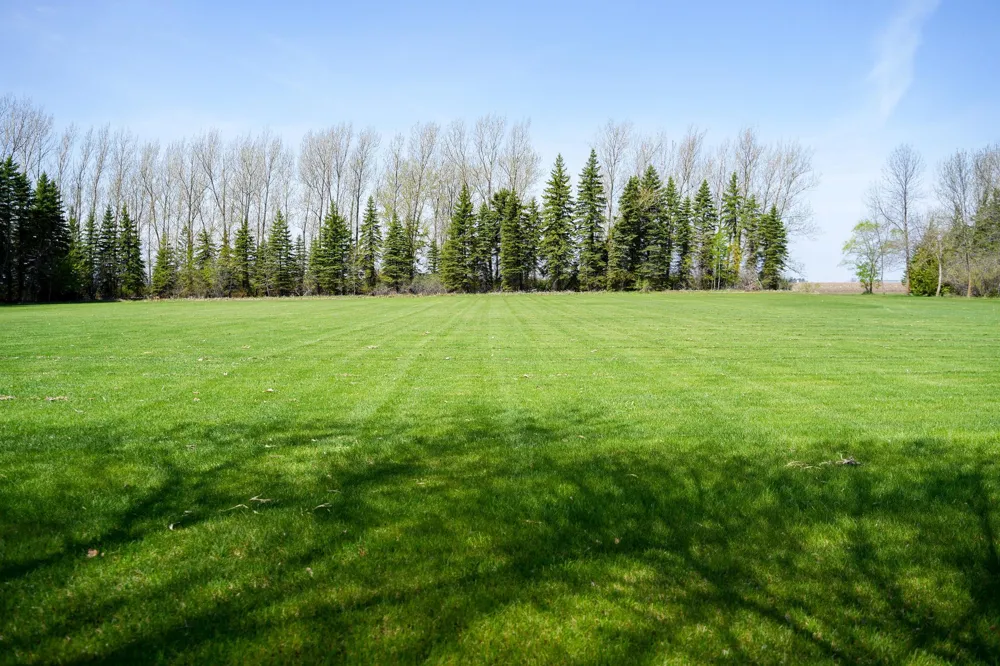24767 300th Avenue SE Brooks, MN 56715
