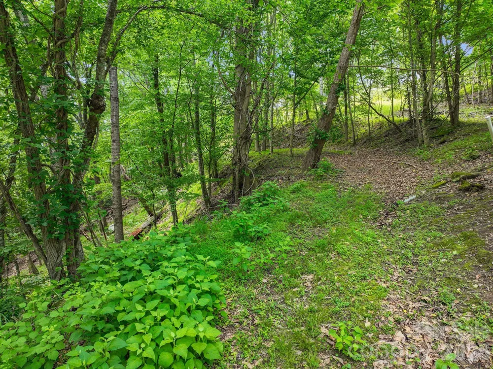 9999 Glen Eagles Lane #177 & 178 Mills River, NC 28759
