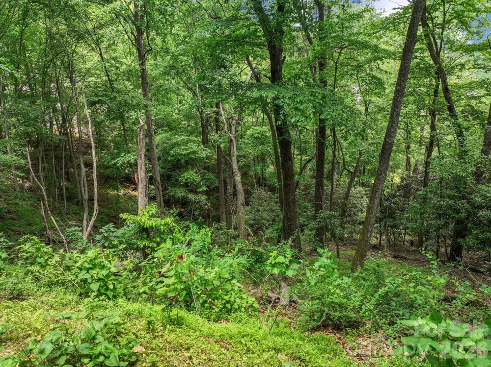9999 Glen Eagles Lane #177 & 178 Mills River, NC 28759