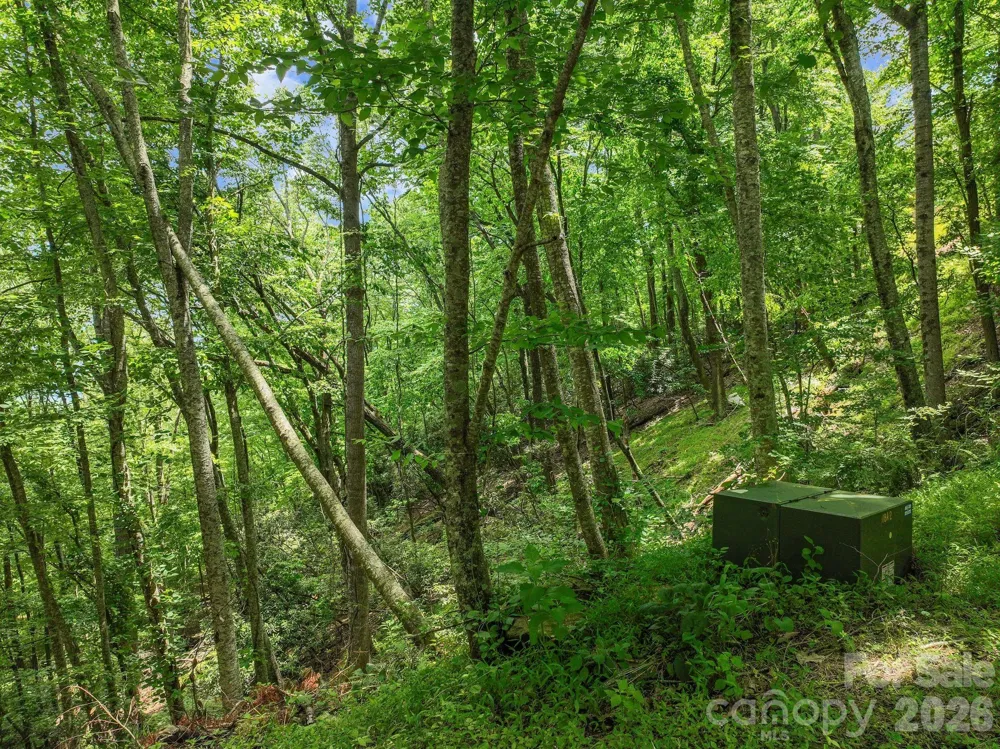 9999 Glen Eagles Lane #177 & 178 Mills River, NC 28759