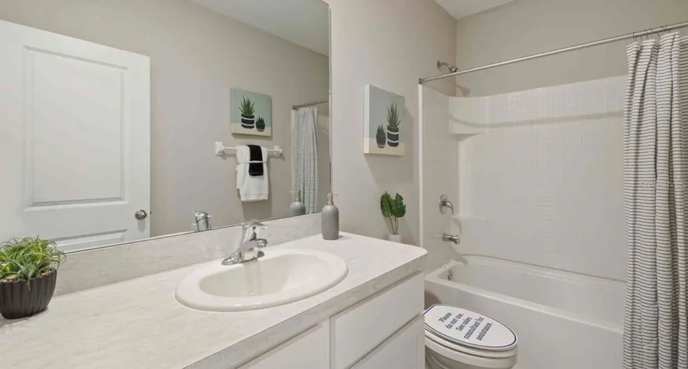 32202 TURTLE GRACE LOOP Wesley Chapel, FL 33545