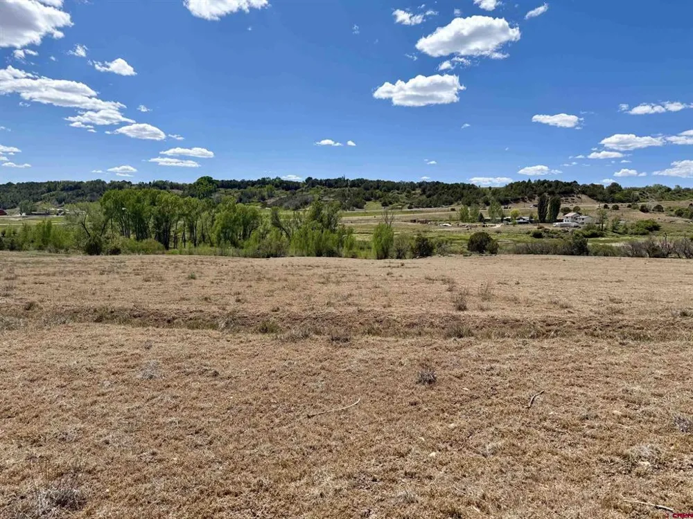 1366 Wrangler Way Durango, CO 81303