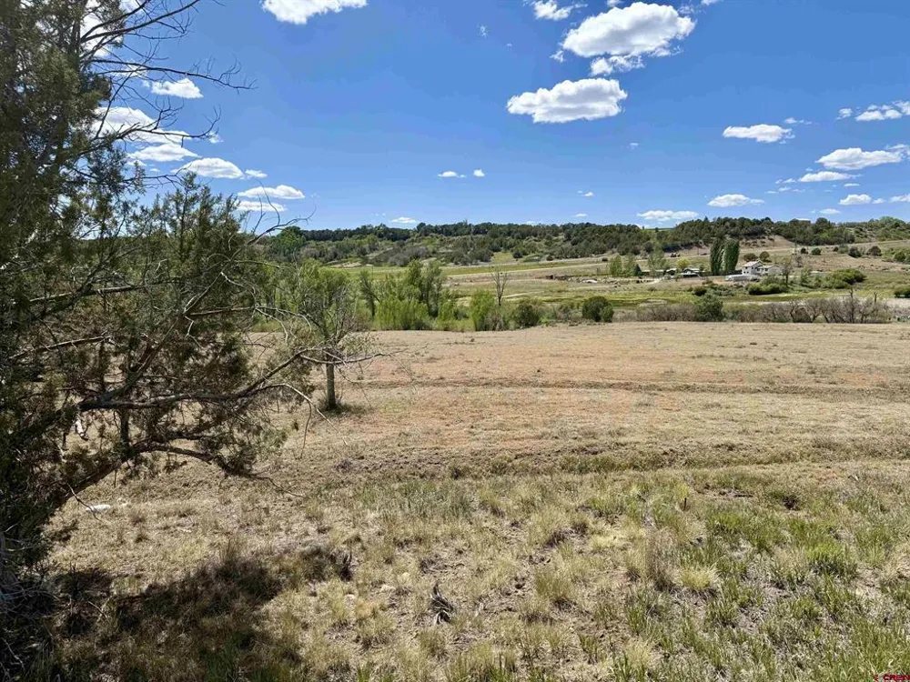 1366 Wrangler Way Durango, CO 81303