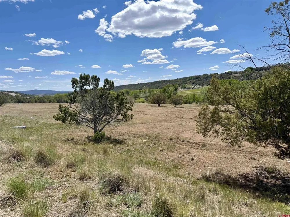 1366 Wrangler Way Durango, CO 81303
