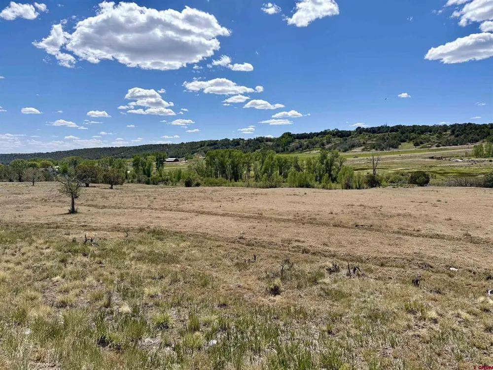 1366 Wrangler Way Durango, CO 81303