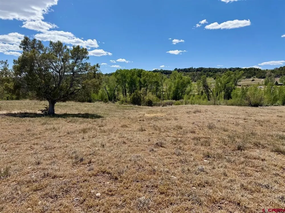 1424 Wrangler Way Durango, CO 81303