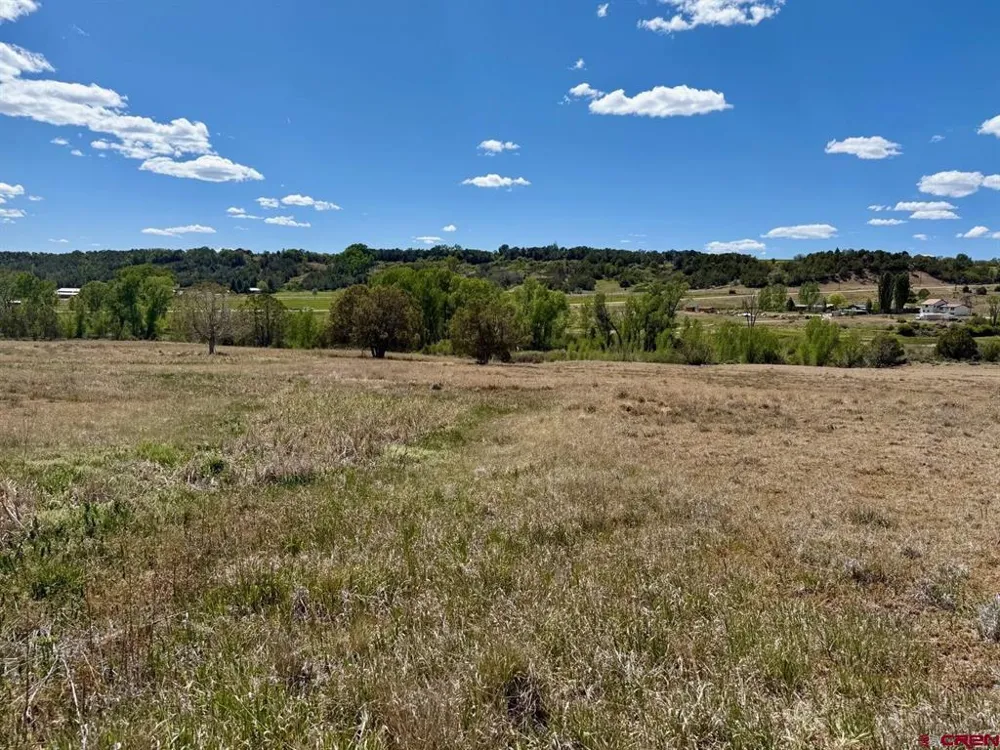 1424 Wrangler Way Durango, CO 81303