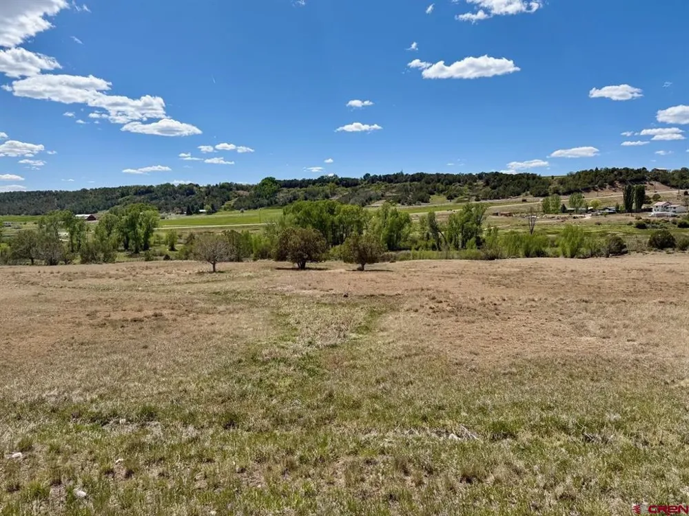 1424 Wrangler Way Durango, CO 81303