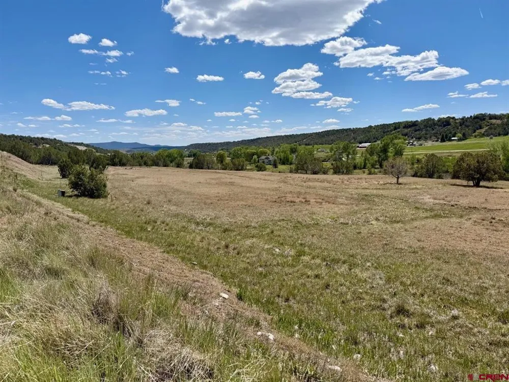 1424 Wrangler Way Durango, CO 81303