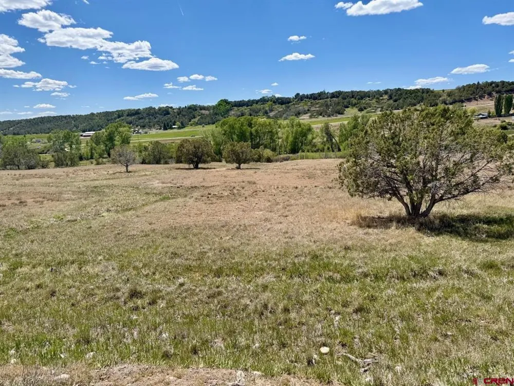 1424 Wrangler Way Durango, CO 81303