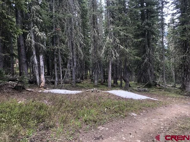 Ruby Silver Road Crested Butte, CO 81224