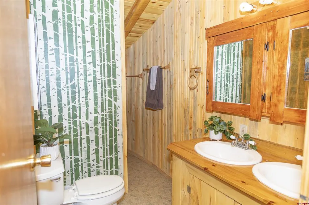 4100 USFS #460 ROAD Creede, CO 81130