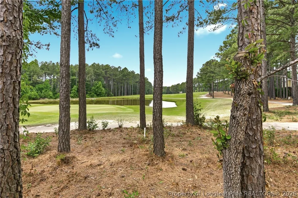 82 Pine Hawk Drive Spring Lake, NC 28390