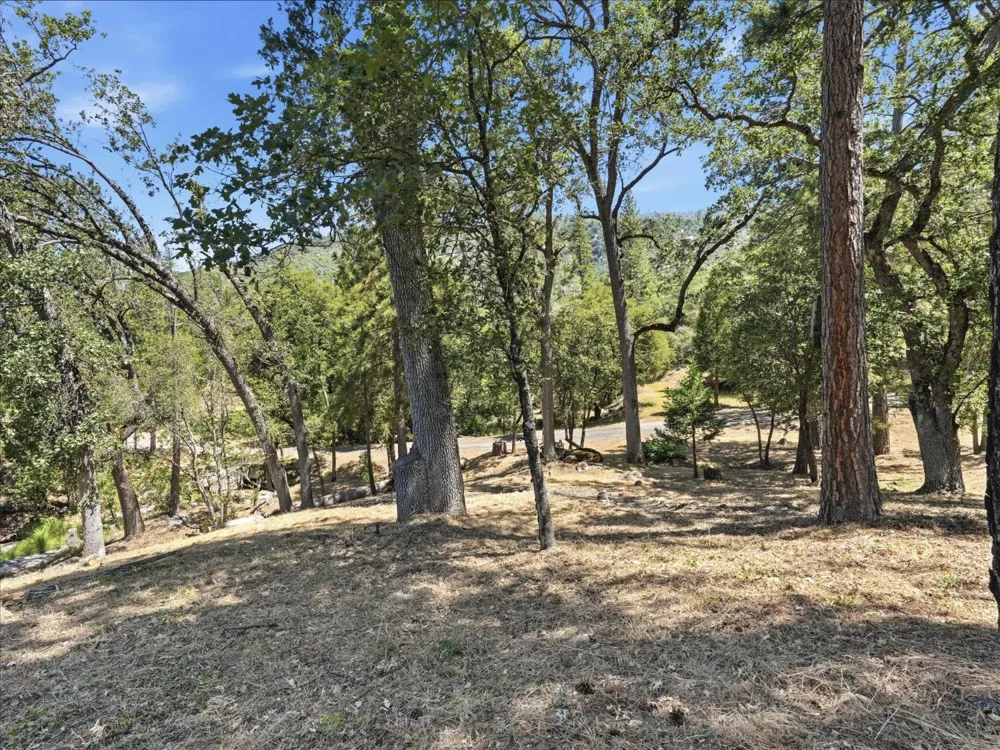 34018 Peckinpah Acres Drive North Fork, CA 93643