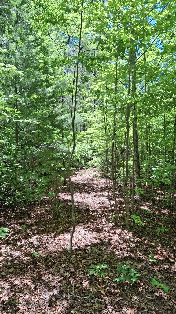 Kako Ridge Sylva, NC 28779