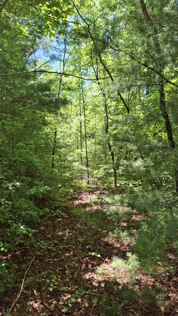 Kako Ridge Sylva, NC 28779