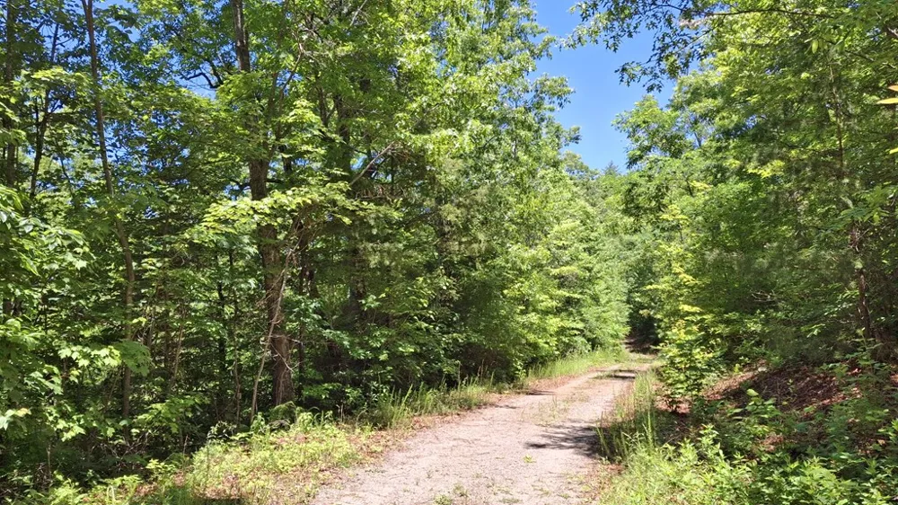 Kako Ridge Sylva, NC 28779