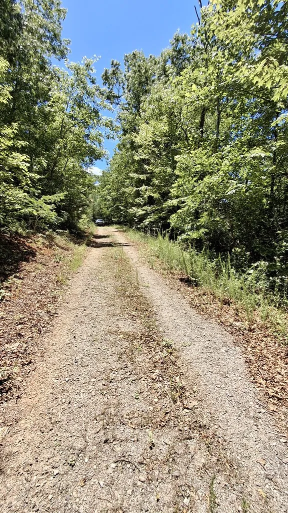 Kako Ridge Sylva, NC 28779
