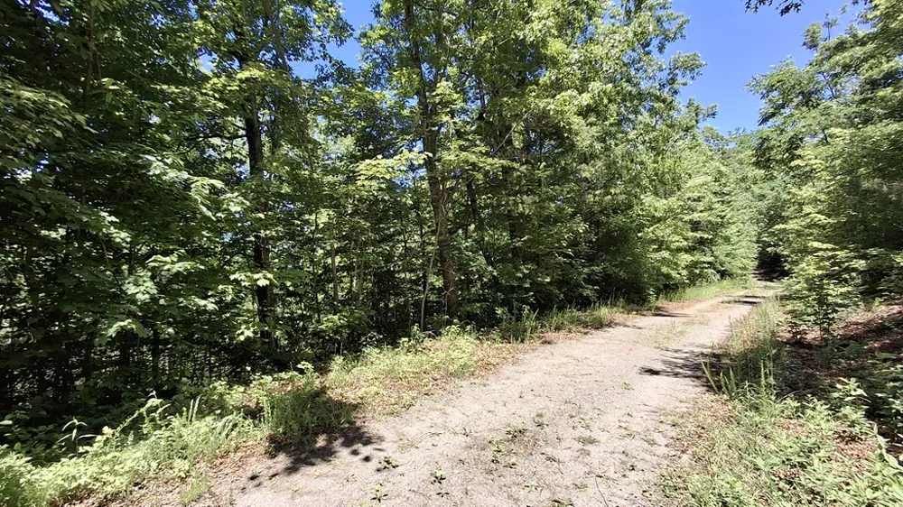 Kako Ridge Sylva, NC 28779