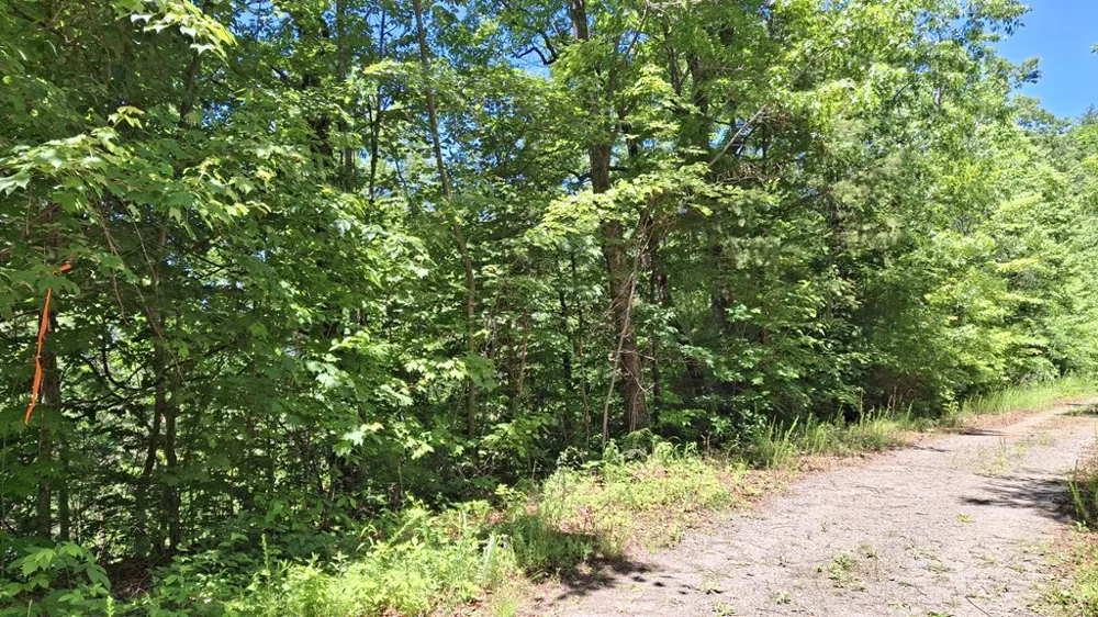 Kako Ridge Sylva, NC 28779