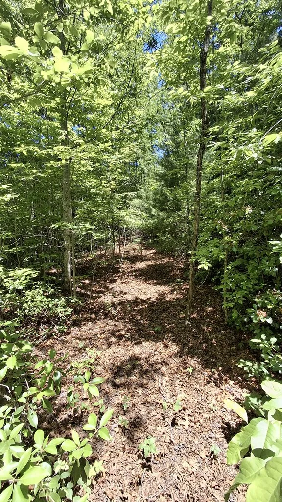 Kako Ridge Sylva, NC 28779