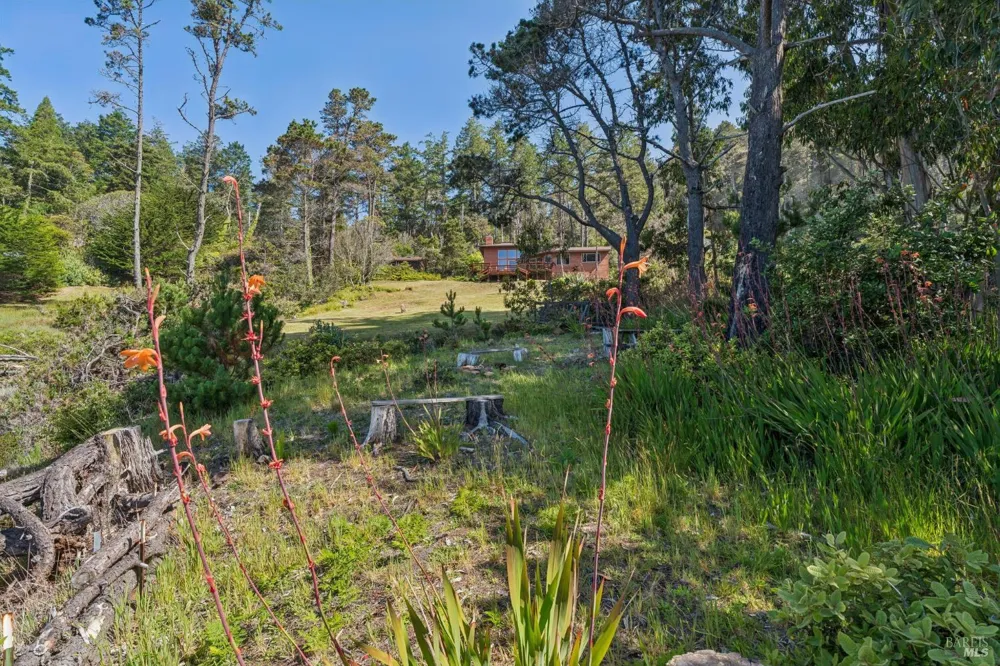 23432 Highway 1 Jenner, CA 95450