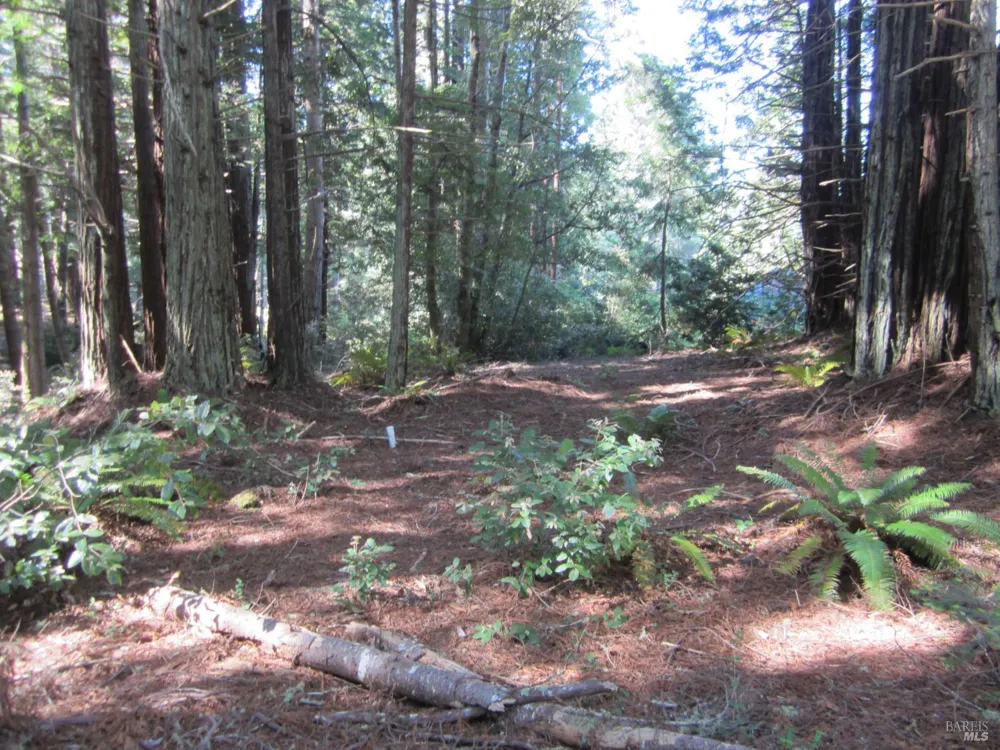 398 Packet Close Road The Sea Ranch, CA 95497