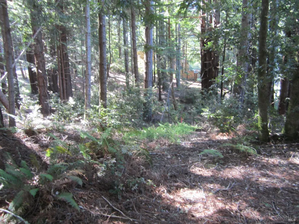 398 Packet Close Road The Sea Ranch, CA 95497