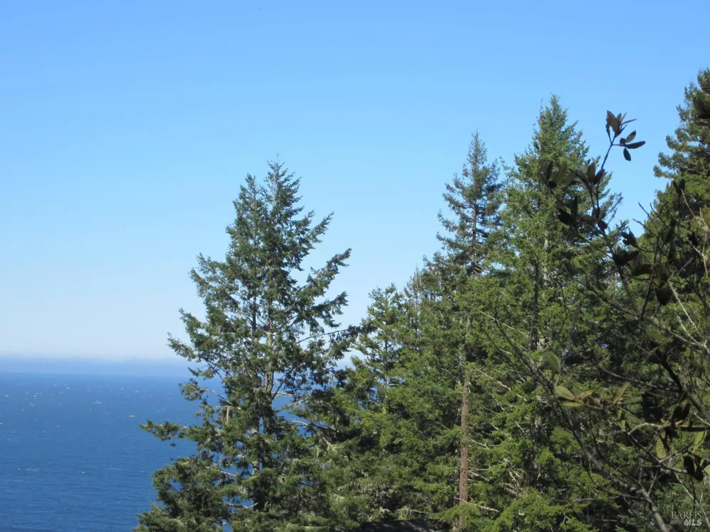 398 Packet Close Road The Sea Ranch, CA 95497