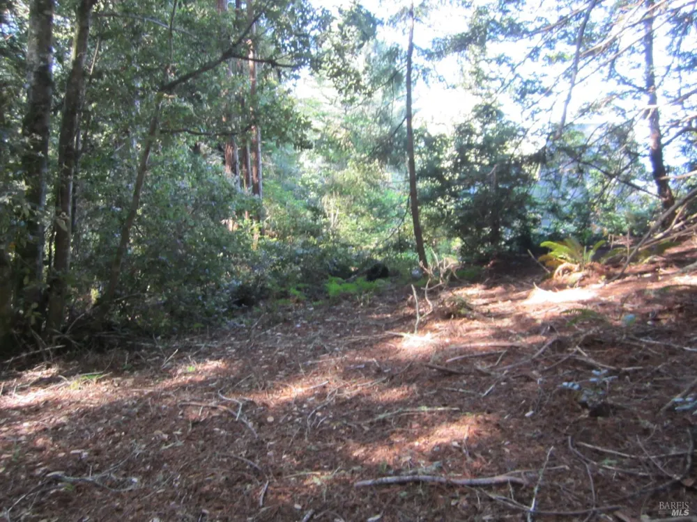 398 Packet Close Road The Sea Ranch, CA 95497