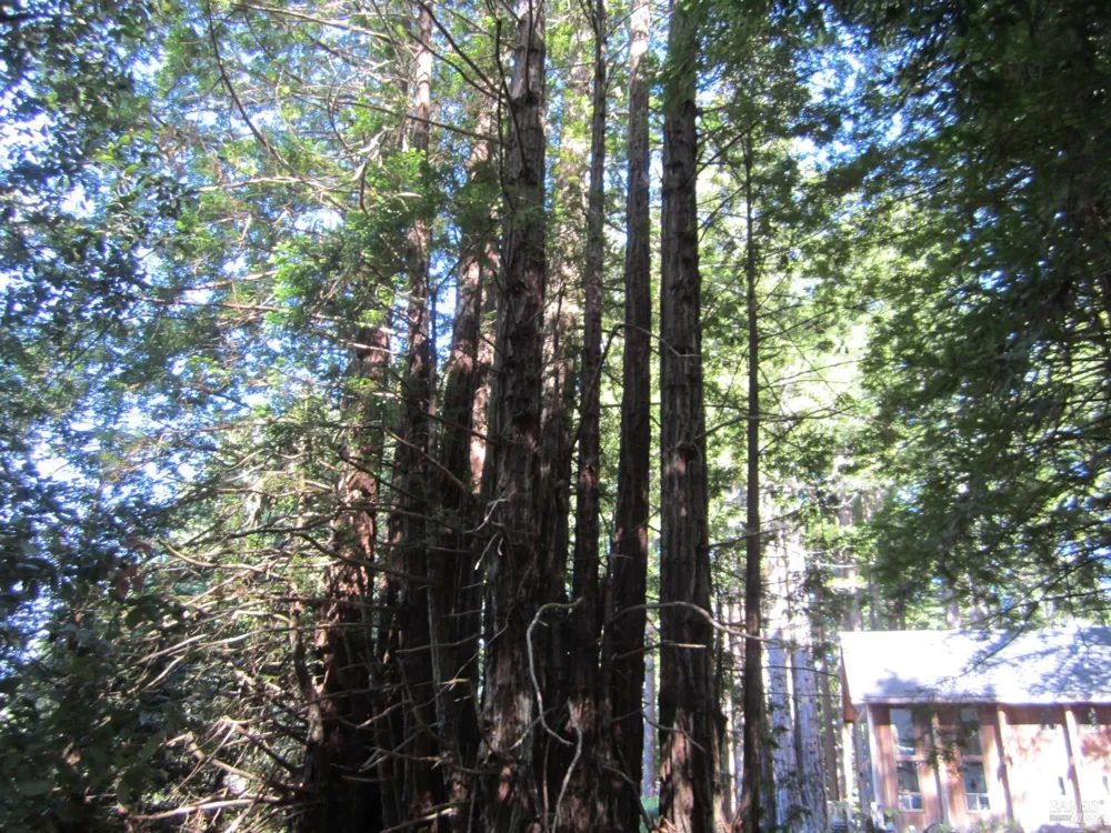 398 Packet Close Road The Sea Ranch, CA 95497