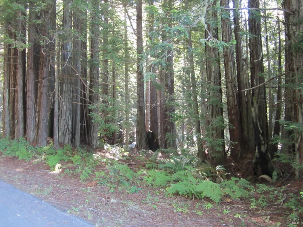 398 Packet Close Road The Sea Ranch, CA 95497