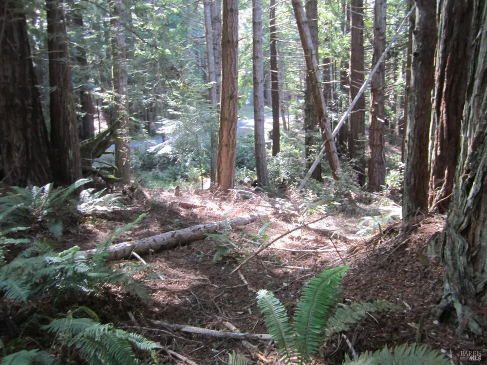 398 Packet Close Road The Sea Ranch, CA 95497
