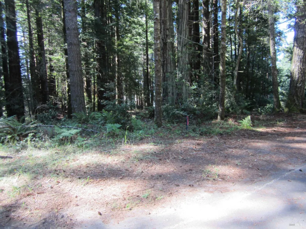 398 Packet Close Road The Sea Ranch, CA 95497