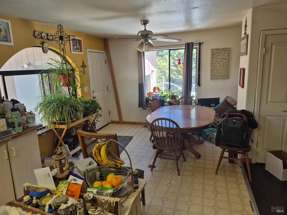 29600 Timberline Road Willits, CA 95490