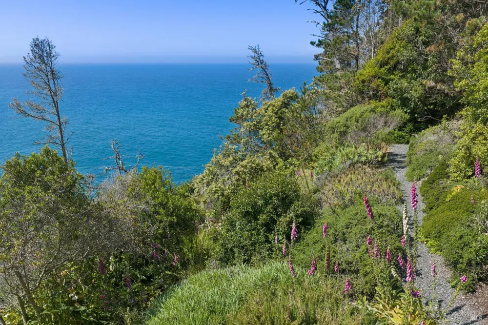 23430 Highway 1 Jenner, CA 95450