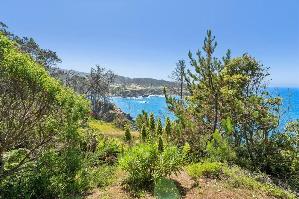 23430 Highway 1 Jenner, CA 95450