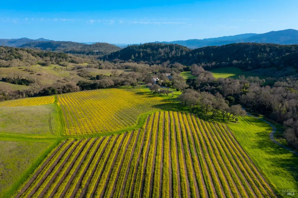 750 Conn Valley Road St. Helena, CA 94574